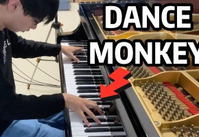 全球最好听的《Dance Monkey》钢琴编曲！