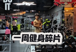 【健身记录】一周健身碎片，大佬教一...