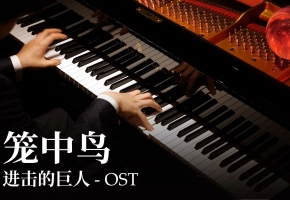 【Animenz】笼中鸟 - 进击的巨人 OST 钢琴改编