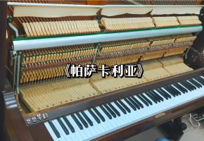 【钢琴】把钢琴拆开来演奏会是什么样的体验呢？《帕萨卡利亚》