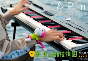 ＆ Piano / まらしぃ（marasy）【東山動植物園テーマソング】