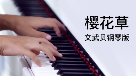 樱花草-文武贝钢琴版