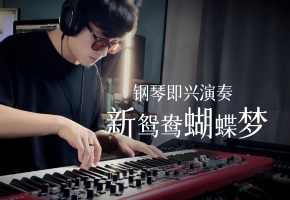 钢琴即兴演奏：新鸳鸯蝴蝶梦