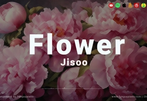 【钢琴】JISOO 金智秀「FLOWER」